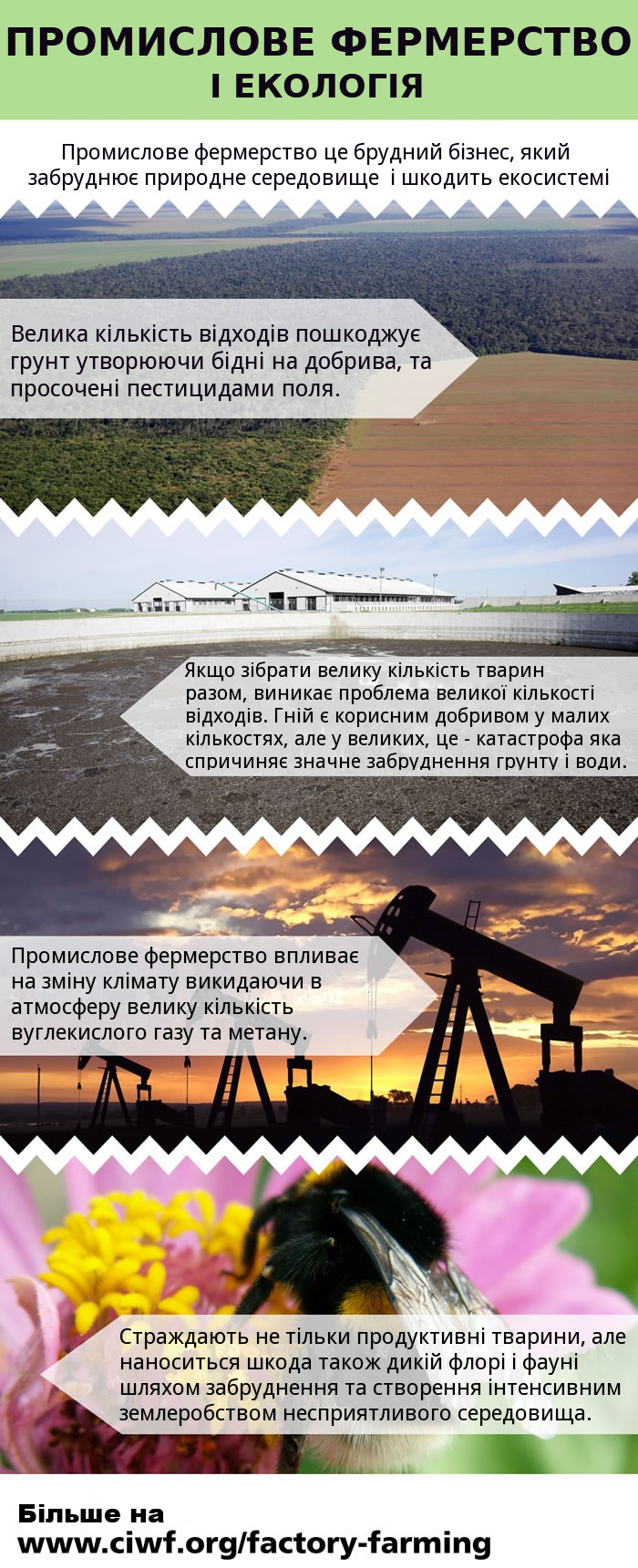 environment_infographic