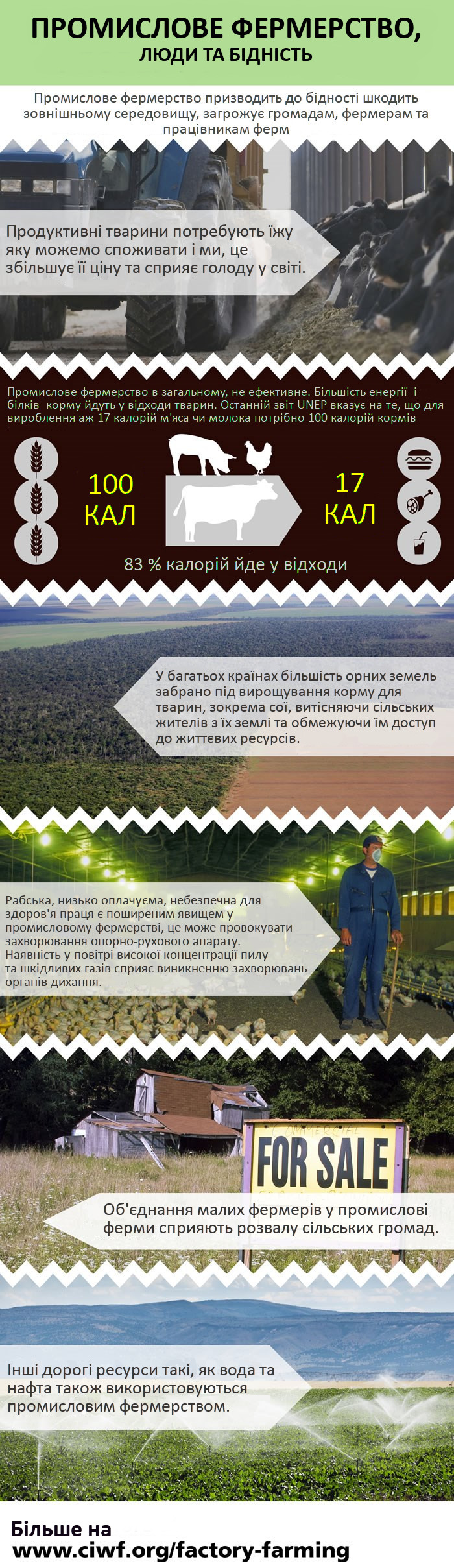people_and_poverty_infographic