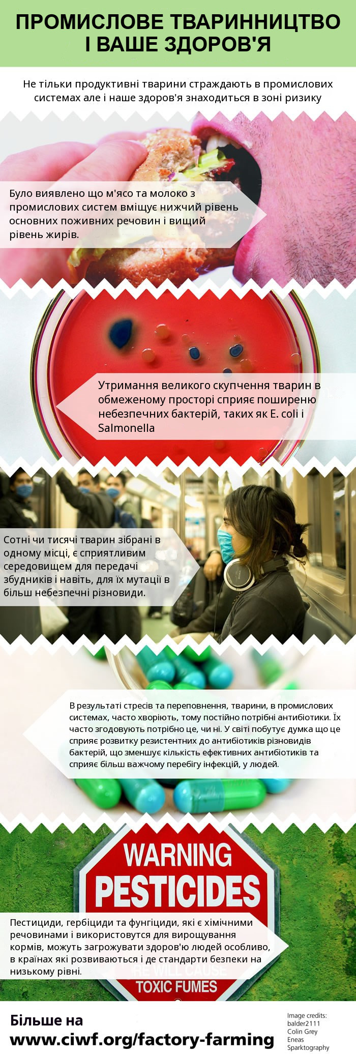your_health_infographic