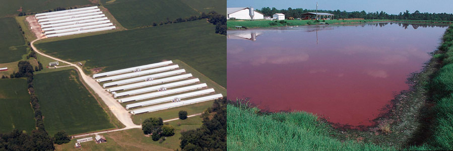 farms1_2